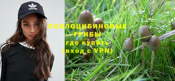 синтетический гашиш Надым