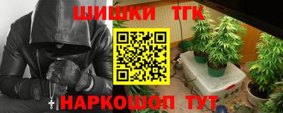 индика Гагарин