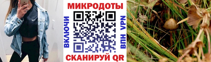Галлюциногенные грибы MAGIC MUSHROOMS  kraken ТОР  Копейск  наркота 
