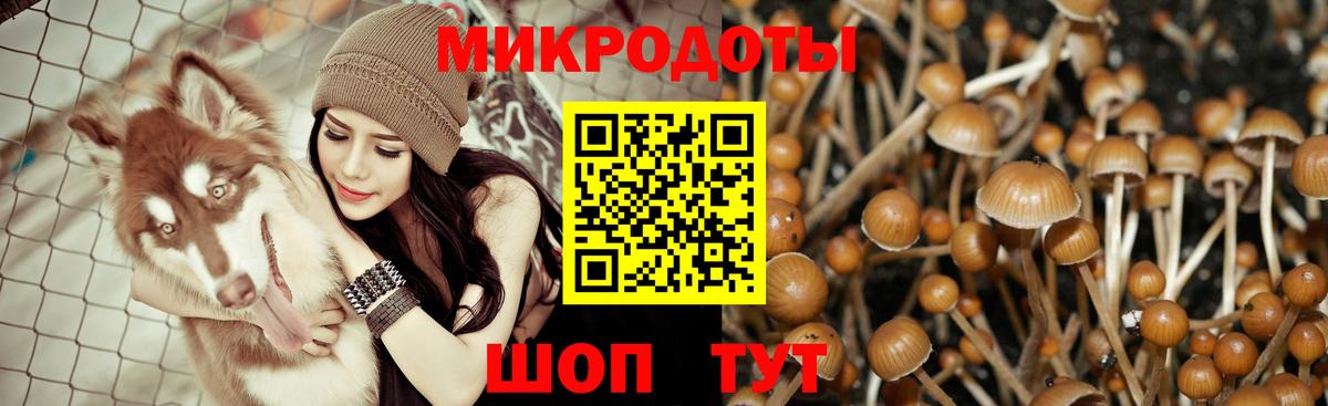 Копейск  Псилоцибиновые грибы MAGIC MUSHROOMS  Вход с VPN  Галлюциногенные грибы прущие грибы 